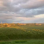 Villa Volponi
